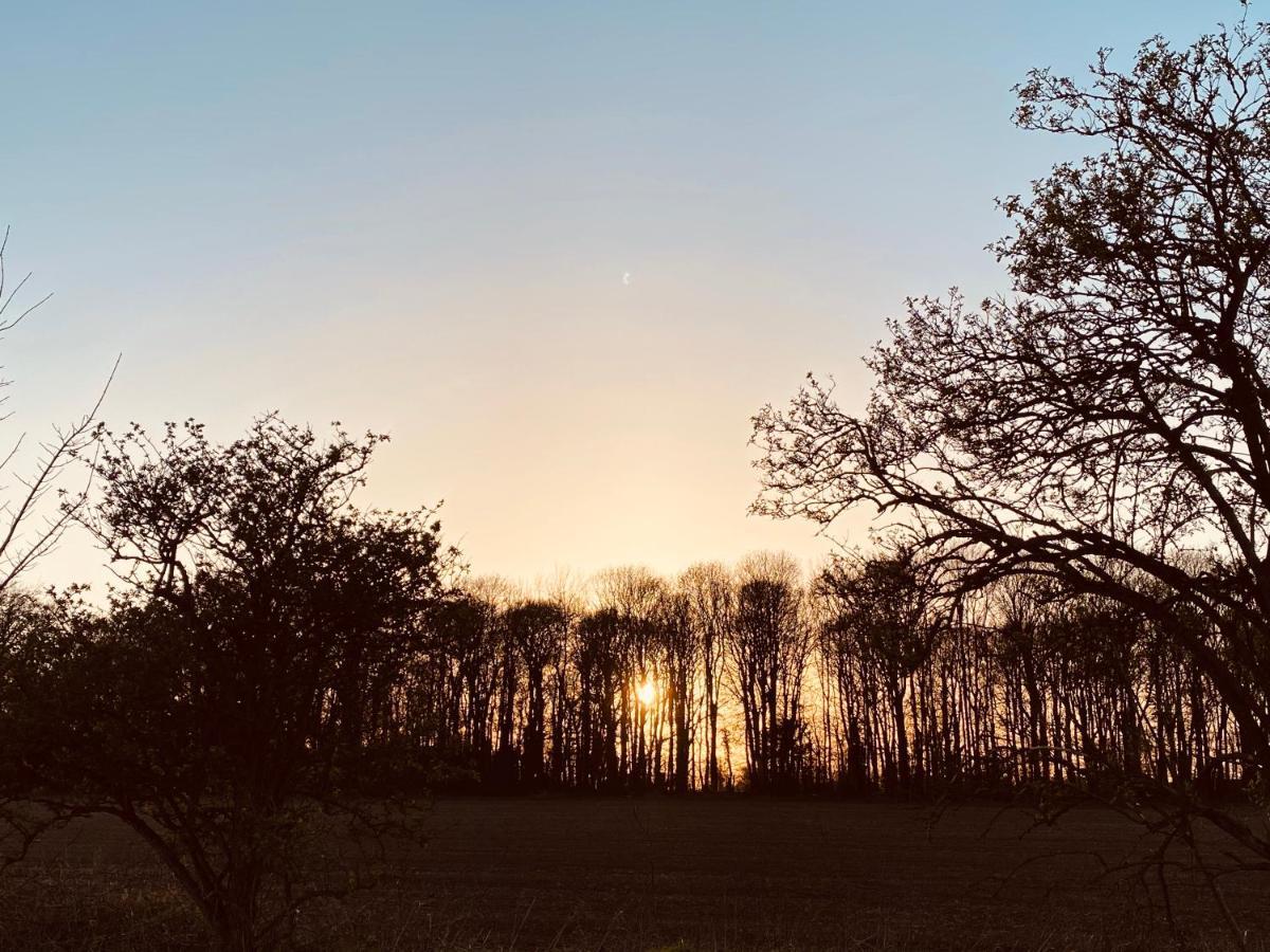 Wildes Inns Chesterfield Exteriör bild