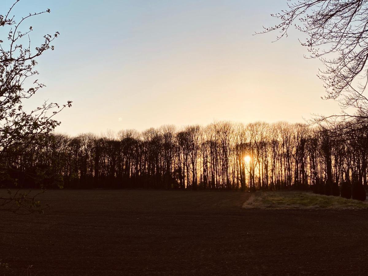 Wildes Inns Chesterfield Exteriör bild