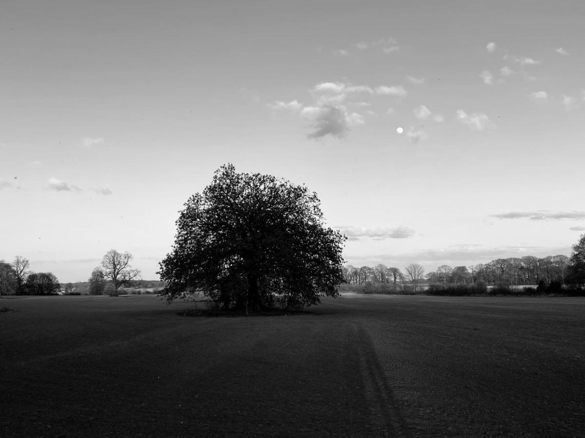 Wildes Inns Chesterfield Exteriör bild