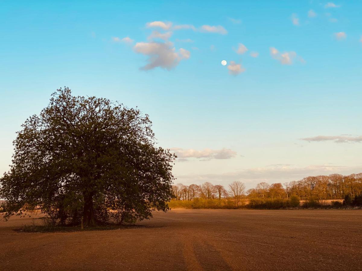 Wildes Inns Chesterfield Exteriör bild
