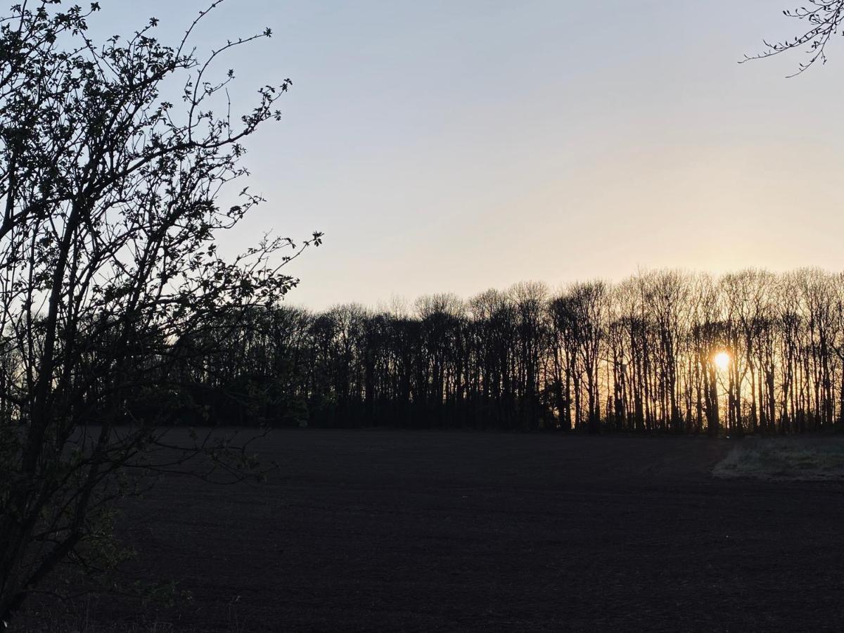 Wildes Inns Chesterfield Exteriör bild