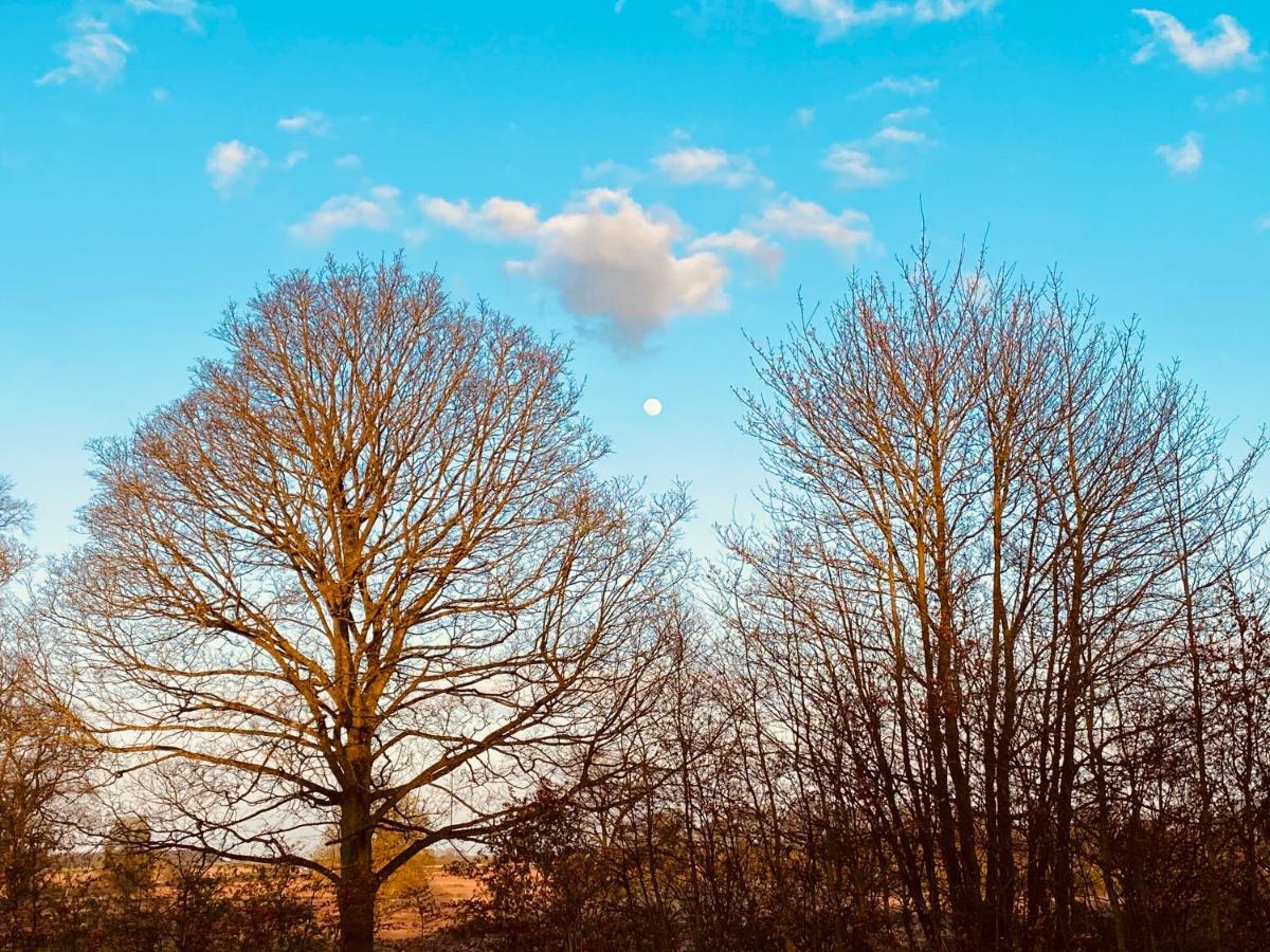 Wildes Inns Chesterfield Exteriör bild
